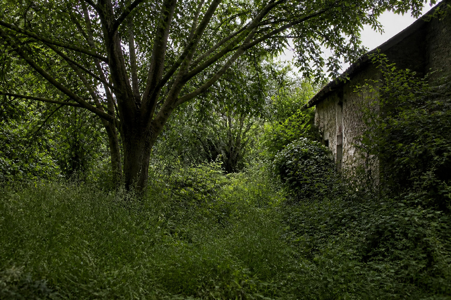 Pourquoi une maison avec un grand terrain peut devenir un fardeau